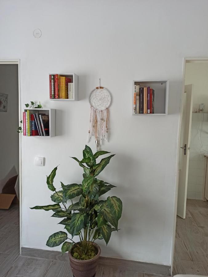 Apartamento Elizondo Giltxaurdi Exteriér fotografie